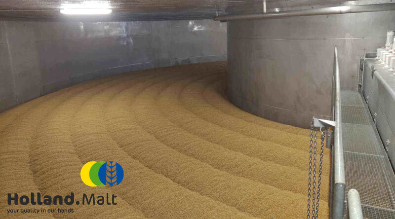 Holland Malt